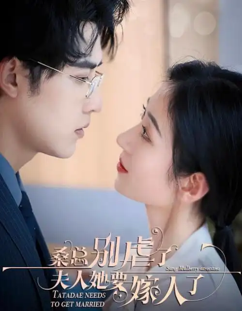 长夜档案 热播电视剧全集免费在线观看
